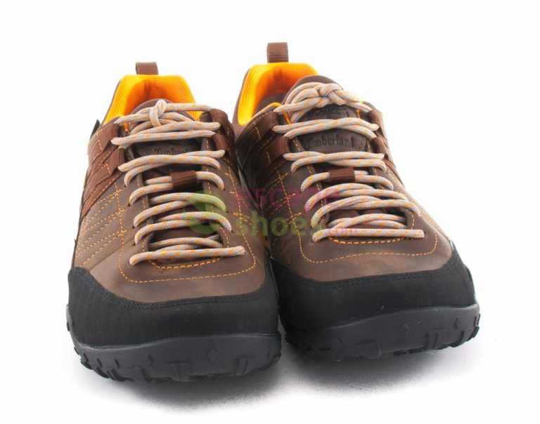 Tenis TIMBERLAND Greeley Approach Low Leather Gtx Brown 5740A