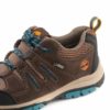 Sapatilhas TIMBERLAND A149T Zip Trail Gore-Tex Brown