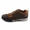 Tenis TIMBERLAND Radler Freeridr Low Gore-Tex Dark Brown 3930A