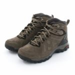 Botas SALOMON Evasion 2 Mid Gore-Tex Bungee Cord 398715